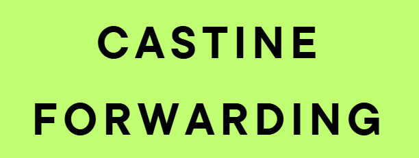 castineforwardinginc.surpathinc.com